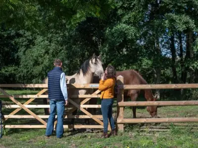Animaux dans le camping ou à proximité