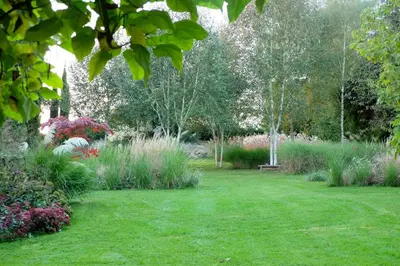 Jardin de l'établissement La Maison & L'atelier