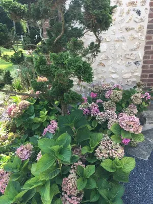 Jardin de l'établissement L'Oreade
