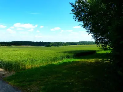 Paysage naturel près de le B&B/chambre d'hôtes