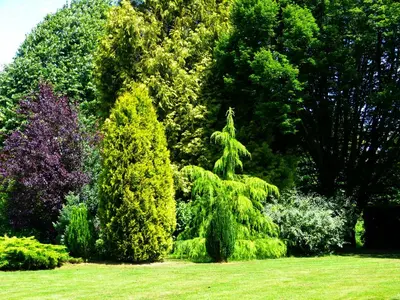 Jardin de l'établissement Le Petit Verger