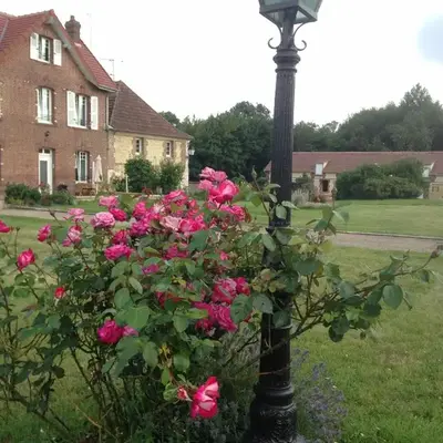 La maison d'amis