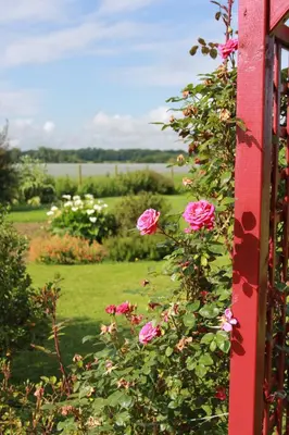 Jardin de l'établissement Chambre D'hotes Le Clos Fleuri