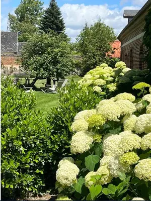 Jardin de l'établissement Chambres d'Aumont