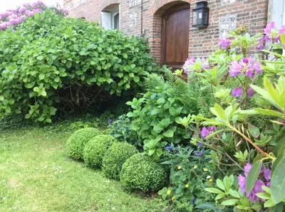 Jardin de l'établissement Manoir de La Muette