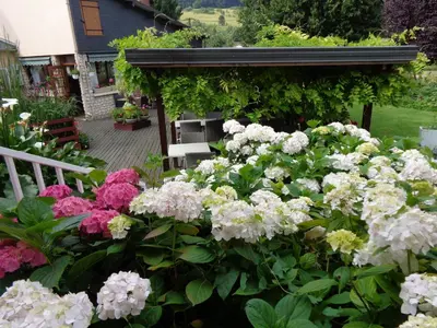 Jardin de l'établissement Logis Hôtel Restaurant L'Unique