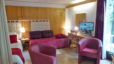 Télévision ou salle de divertissement dans l'établissement Garden Studio Chantilly