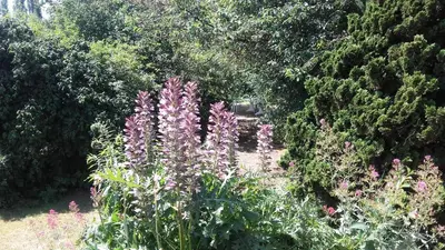 Jardin de l'établissement Chambres du Jardin Fleuri