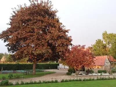 Jardin de l'établissement La Cle de Saule
