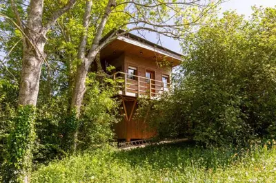 Plan de l'établissement Cabane perchee