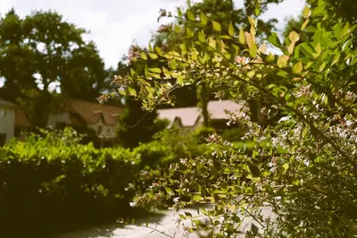 Jardin de l'établissement Hostellerie Du Lys