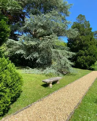 Jardin de l'établissement Manoir des Cavaliers - BnB