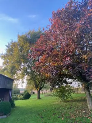 Jardin de l'établissement L’abri du monde