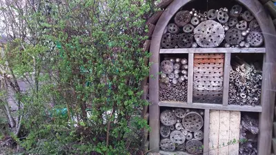 Jardin de l'établissement A la campagne, au calme