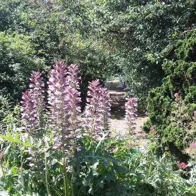 La maisonnette du Jardin Fleuri
