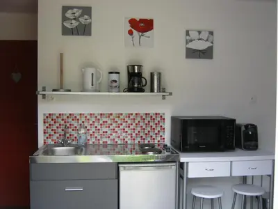 Cuisine ou kitchenette dans l'établissement Gîte des Pins Penchés