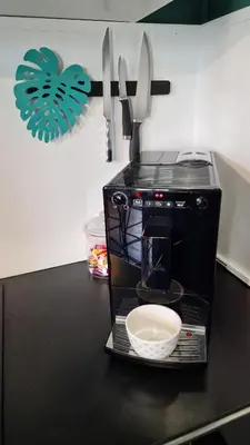 Cuisine ou kitchenette dans l'établissement Appartement typique Rouen centre avec parking gratuit