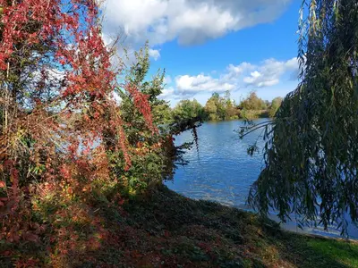 Vue sur la rivière ou le fleuve situé(e) à proximité de l'appartement