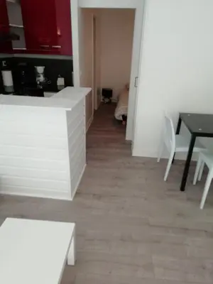 Cuisine ou kitchenette dans l'établissement appartement de la place