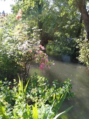 Jardin de l'établissement Le Moulin des Roses