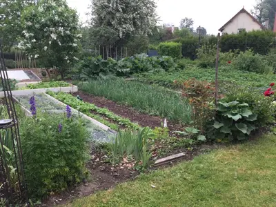 Jardin de l'établissement Rue de la Gare