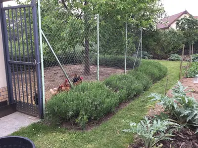 Jardin de l'établissement Rue de la Gare