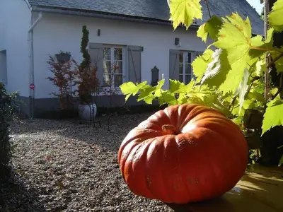 Jardin de l'établissement Cottage d Hamicourt