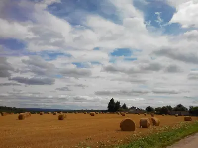 Paysage naturel près de le B&B/chambre d'hôtes