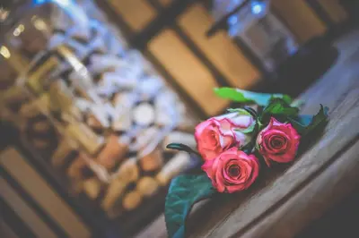Plan de l'établissement Les Roses de Montherlant