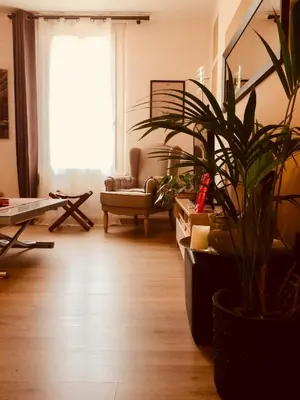 Coin salon dans l'établissement DUPLEX 52m2 hyper centre, petite TERRASSE exposée Sud