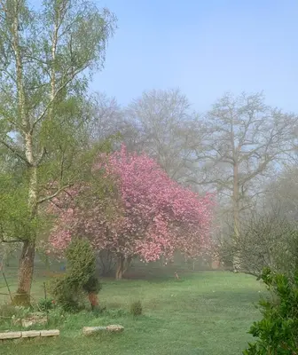 Jardin de l'établissement Domaine de Beauvilliers