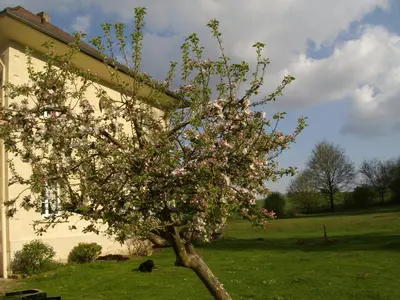 Jardin de l'établissement Domaine de Beauvilliers