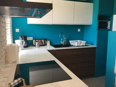 Cuisine ou kitchenette dans l'établissement Les mouettes - la paix du bord de Seine