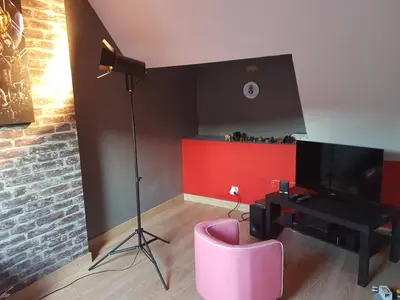 Télévision ou salle de divertissement dans l'établissement Logis la Rotourelle
