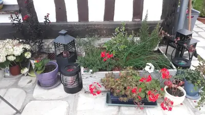 Jardin de l'établissement CAMPAGNE ET MER