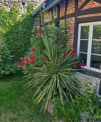 Jardin de l'établissement Le Romarande, Cottage détente avec SPA privatif