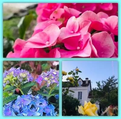 Jardin de l'établissement Belle Vue Terrasse