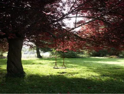 Jardin de l'établissement Le Moulin Fleuri du Petit Appeville