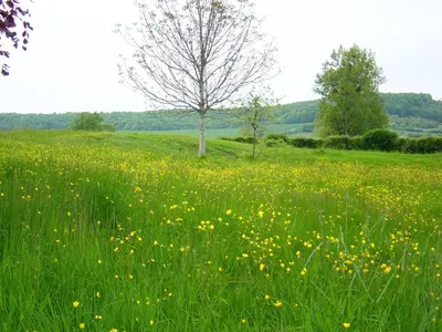 Paysage naturel près de la villa