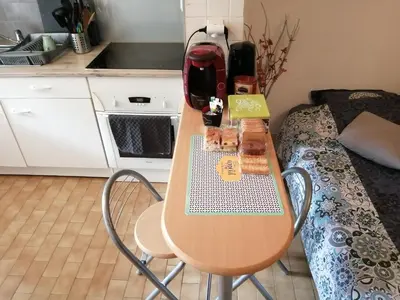 Cuisine ou kitchenette dans l'établissement appartement type f2 proche PARIS 25 KM