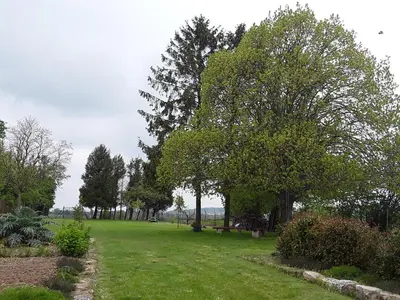 Jardin de l'établissement Le Gros Tilleul