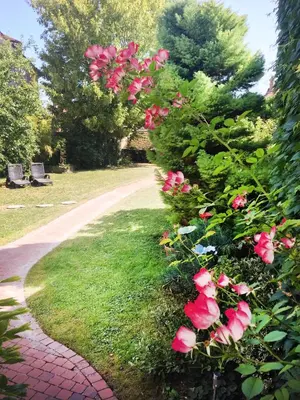 Jardin de l'établissement Les gîtes du Clos Saint-Martin