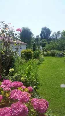 Jardin de l'établissement Les Trois Roses