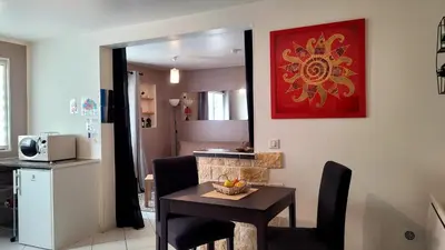 Cuisine ou kitchenette dans l'établissement Ravissant studio privé 2 pièces 