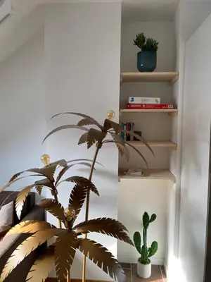 Bibliothèque dans l'appartement
