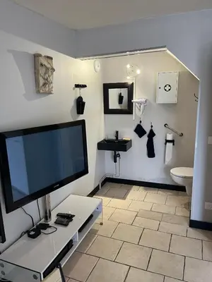 Télévision ou salle de divertissement dans l'établissement Chambres d'hôte du Domaine de la Reine Blanche