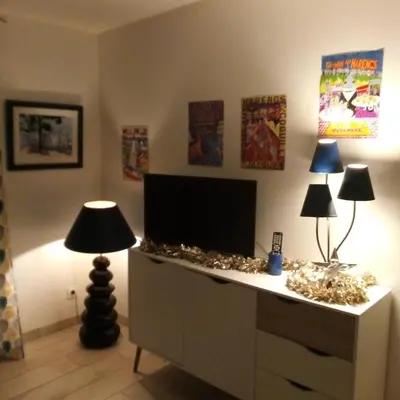 Télévision ou salle de divertissement dans l'établissement Au galet bleu