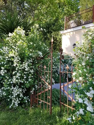 Jardin de l'établissement Les Buis de Boscherville Gite