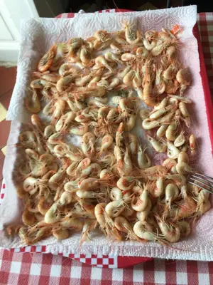 Nourriture dans l'appartement ou à proximité