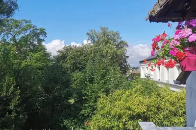 Jardin de l'établissement Gîte Le Balcon Flaubert